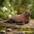 CollectA - Walrus Calf