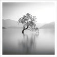 Crooked tree in lake Card
