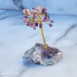 Crystal Tree - Amethyst with Fluorite Base