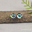 Earrings - Paua Spiral Studs