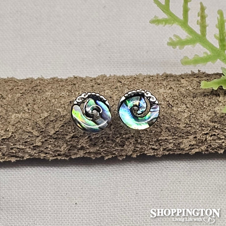 Earrings - Paua Spiral Studs