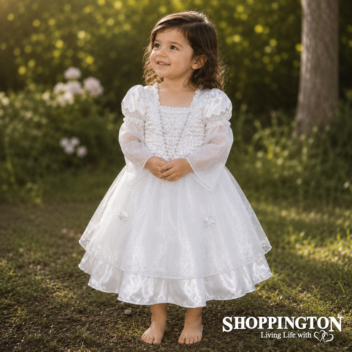 Fairy Dress-up / Cinderella Dress