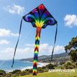 Fly-Hi Kite - 45" Aurora