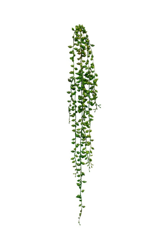 String of Tears