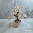 Gemstone Tree 15cm Rose Quartz - Rose Quartz Base