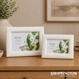 Greenhouse 4x6 Wooden Frame