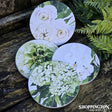 Greenhouse Ceramic Coasters