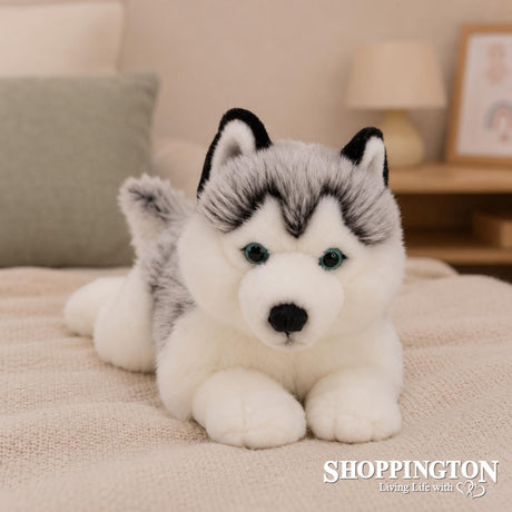 Handsome Husky