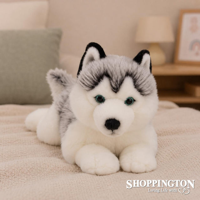 Handsome Husky