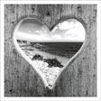Heart hole in fence Card