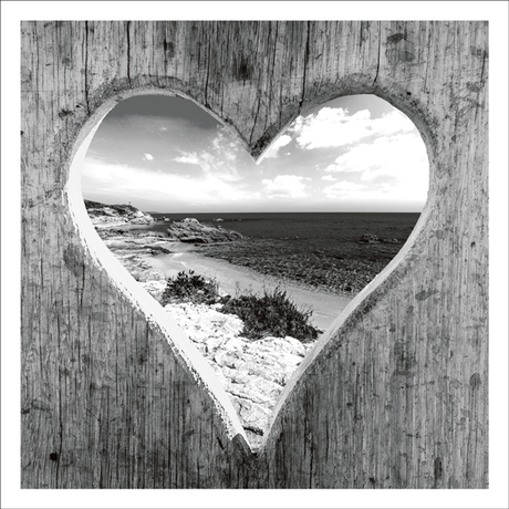 Heart hole in fence Card
