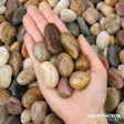 Landscape - Bag of Decorative Stones 500g - Mixed
