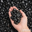 Landscape - Bag of Decorative Stones 500g - Small Black