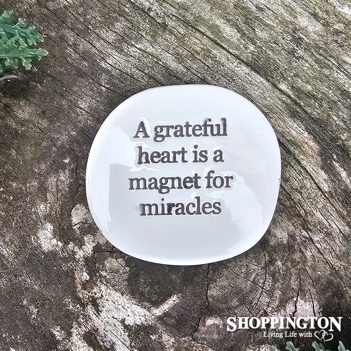 Life Magnets