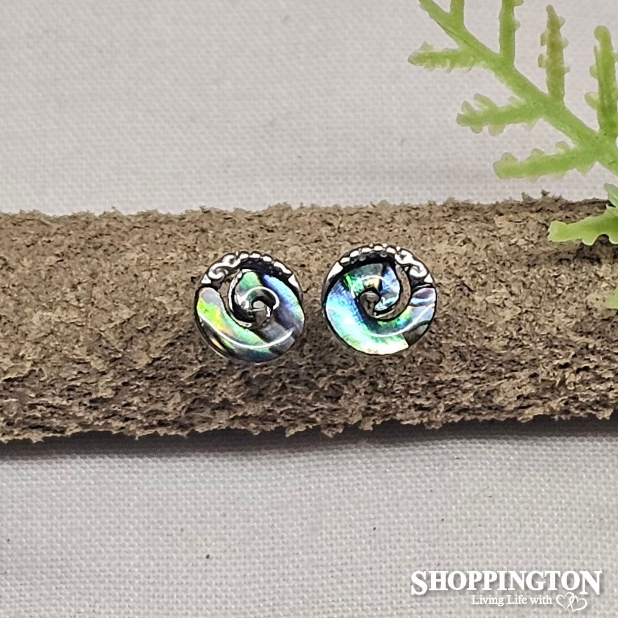 Earrings - Paua Spiral Studs