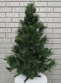 Mixed Pine Christmas Tree 94cm