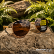 Moana Road Sunglasses - Aviator Maverick