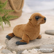 NZ Sea Lion with Sound