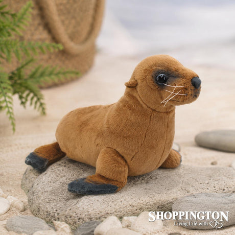 NZ Sea Lion with Sound
