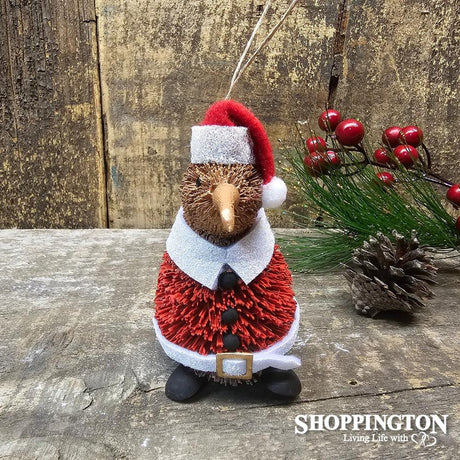 Santa Kiwi