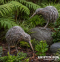 Natural Metal Kiwi 50cm
