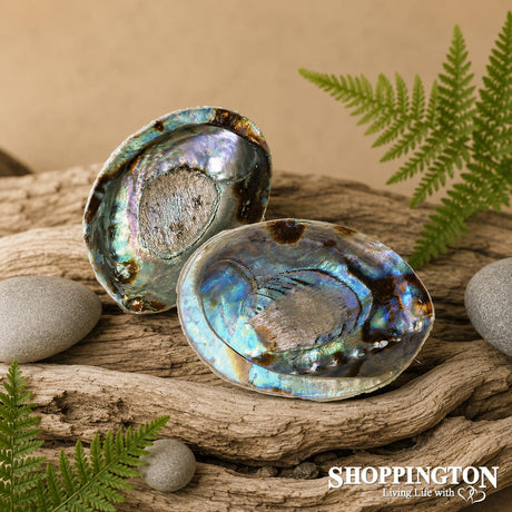 Nz Made Natural Paua Shell (Part Polished)