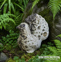 Oceanic Pottery Fantail