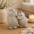 Owl Couple
