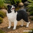 Papo Collection - Border Collie