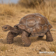 Papo Collection - Galapagos Tortoise