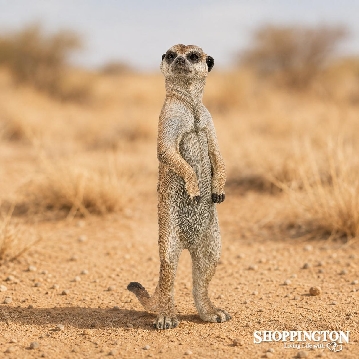 Papo Collection - Standing Meerkat