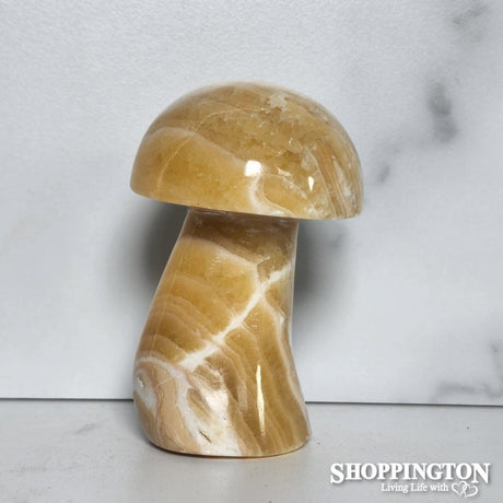 Peach Stone Mushroom #3