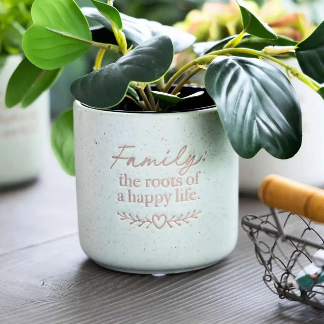 Positive Pots - Family - the roots of a happy life