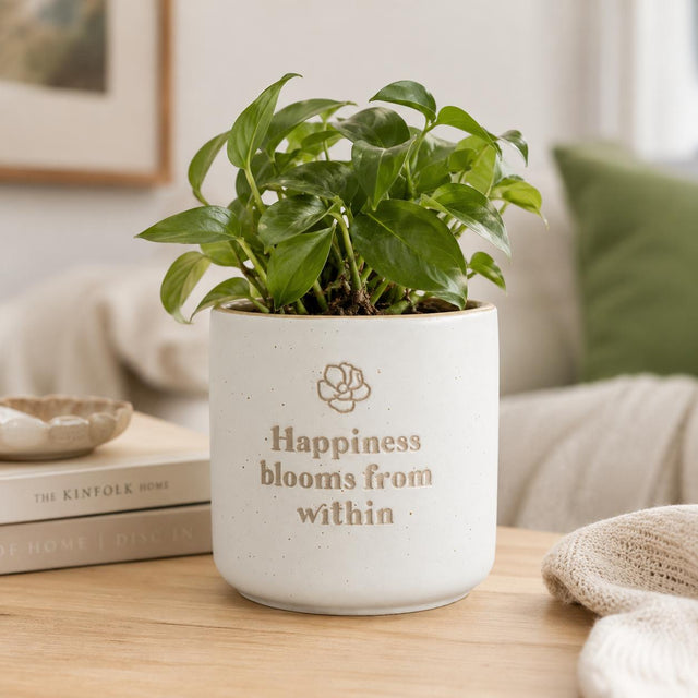 Positive Pots - Happiness Blooms