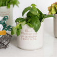 Positive Pots - Wherever you are...
