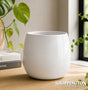 Pot Planter - Egg Cover White