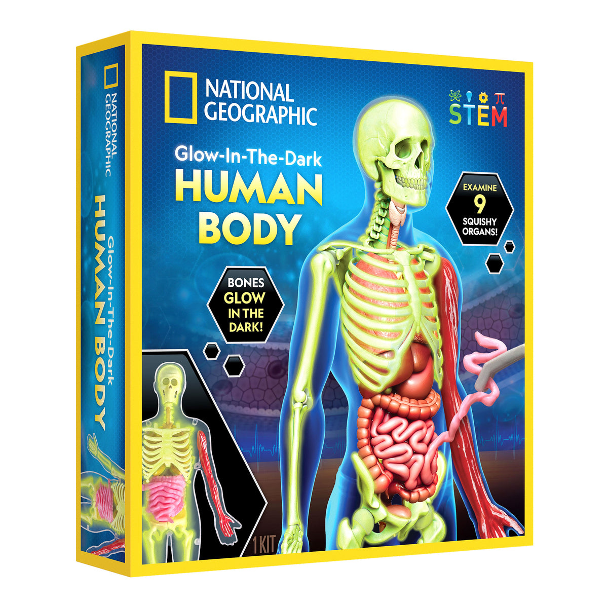 National Geographic - Human Body Science
