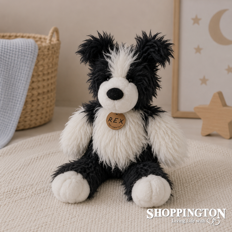 Rex The Nz Sheep Dog