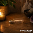 Salt Lamp Bulb - 12 volt (low voltage)