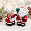 Salt & Pepper - Mr & Mrs Santa