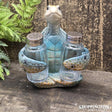 Salt & Pepper Shakers - Turtle