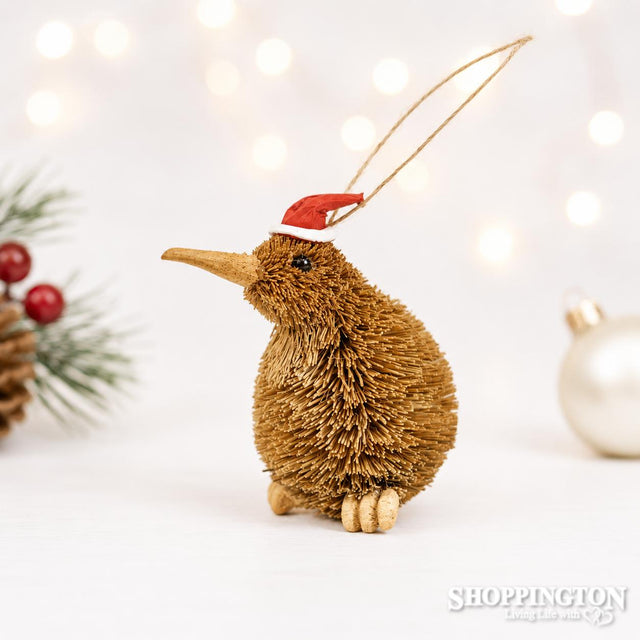 Santa Hat Kiwi Deco