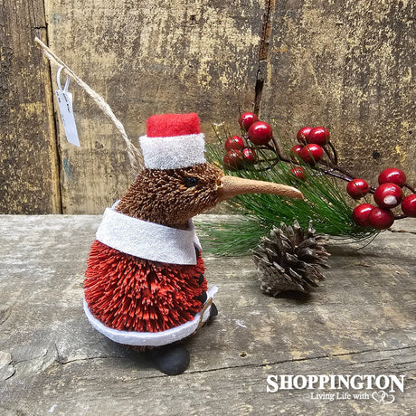 Santa Kiwi