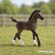 Schleich Collectable - Arabian Foal
