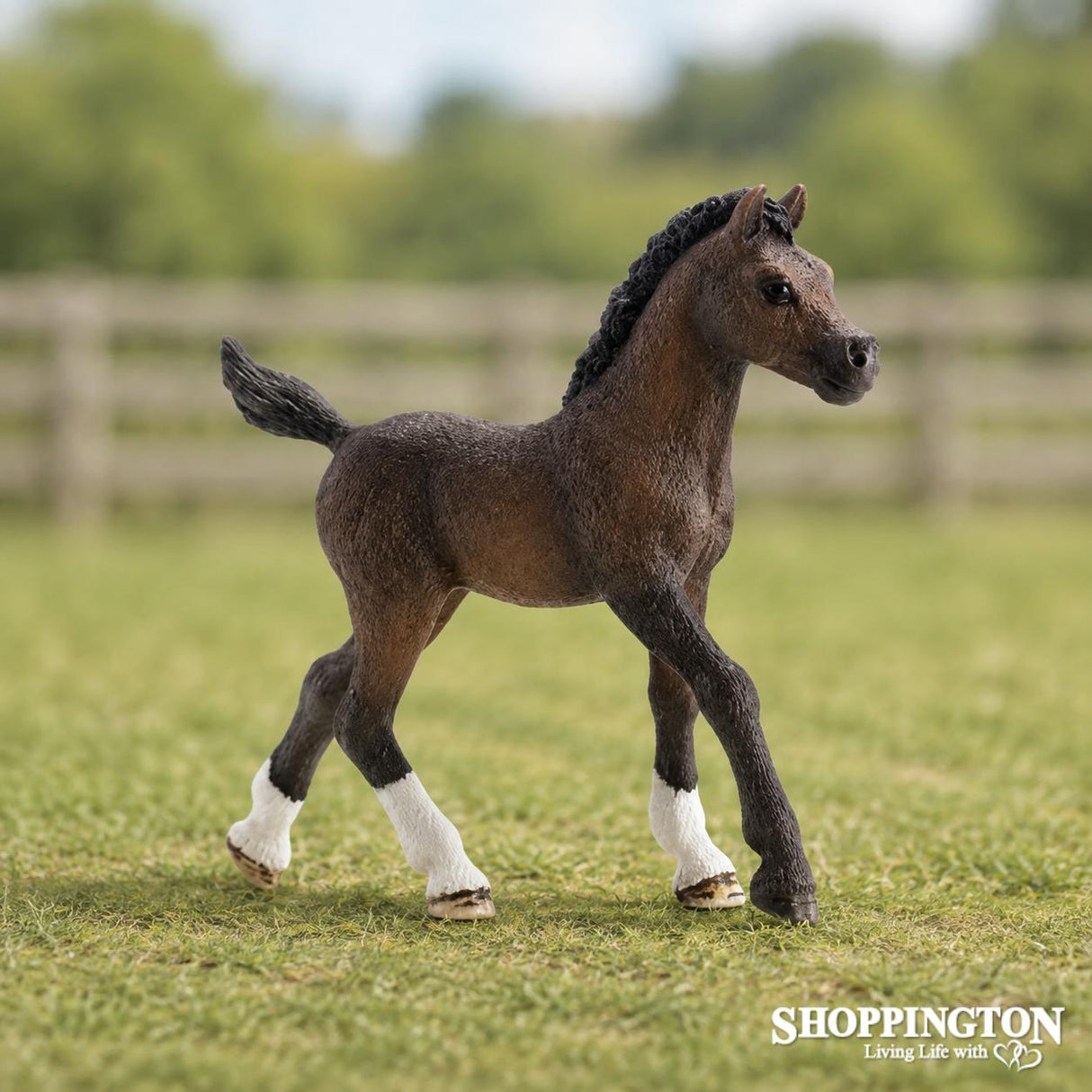 Schleich Collectable - Arabian Foal