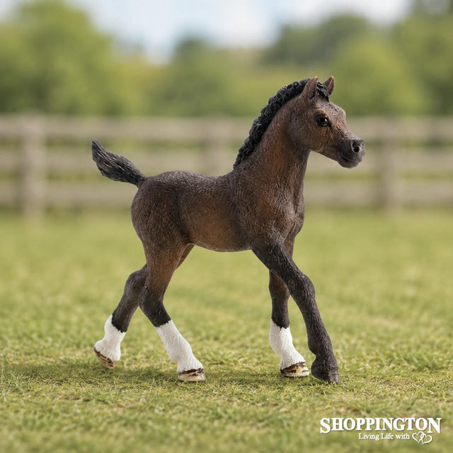 Schleich Collectable - Arabian Foal