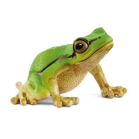 Schleich Collectable - European Tree Frog