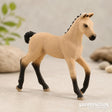 Schleich Collectable - Hannoverian Foal