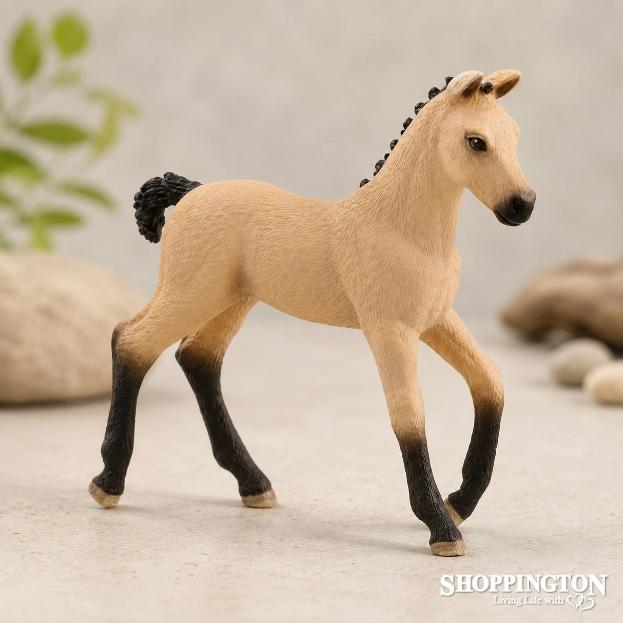 Schleich Collectable - Hannoverian Foal