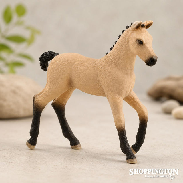 Schleich Collectable - Hannoverian Foal
